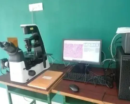 Inverted Microscope