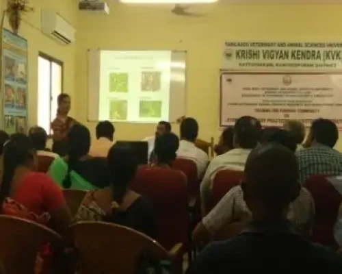 KVK, kattupakkam