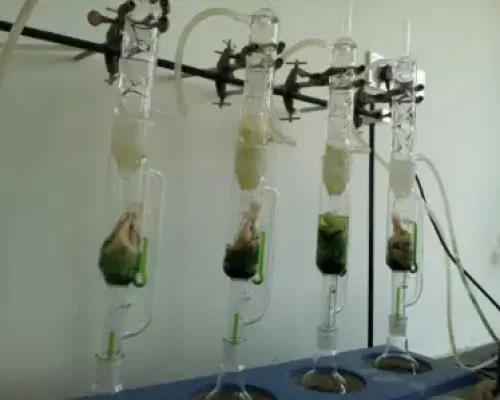Soxhlet apparatus -extraction